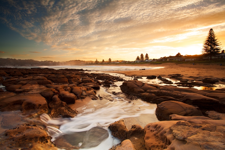 Avoca beach, Central Coast, NSW