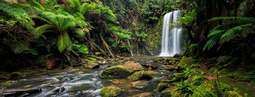 Beauchamp Falls, Otway National Park, Victoria