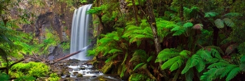 Hopetoun Falls, Great Otway National Park, Victoria