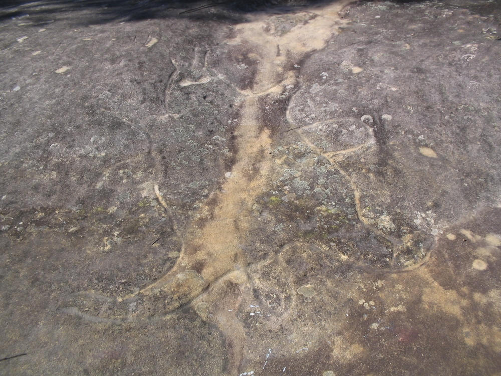Yengo Country NSW Aboriginal Rock Engravings