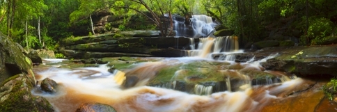 Waterfalls, NSW
