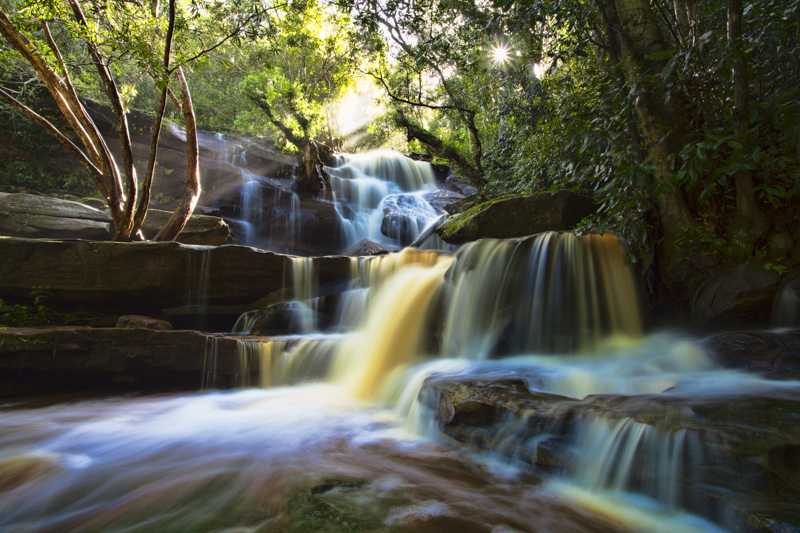 Somersby falls, Central Coast