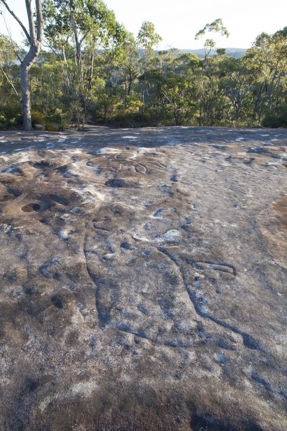 Yengo National Park Aboriginal Rock Art