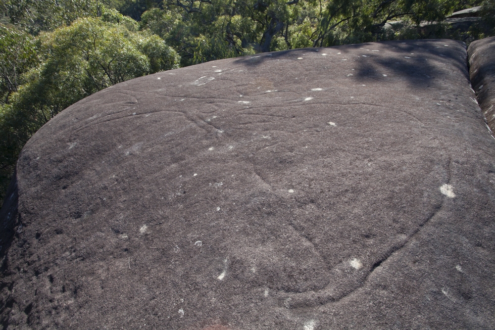 Aboriginal Rock Art Yengo NP, NSW 